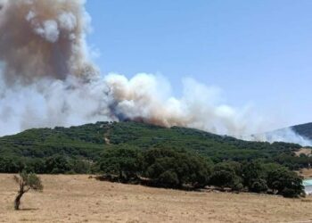 Peligro de incendios en la Serranía de Ronda