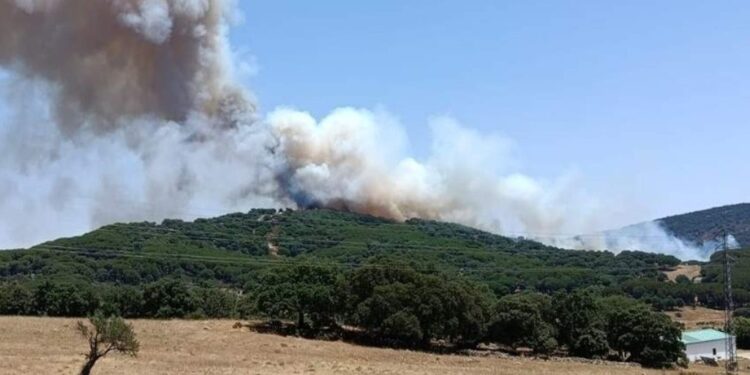 Peligro de incendios en la Serranía de Ronda